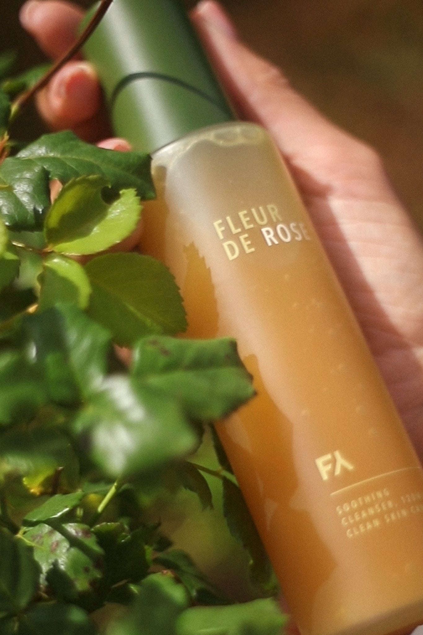 Campaign shot of Fleur de Rose Soothing Cleanser by Fields of Yarrow near the leaves of a plant